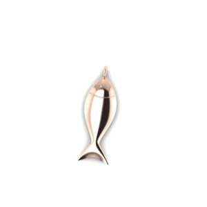 Jesus Fish
